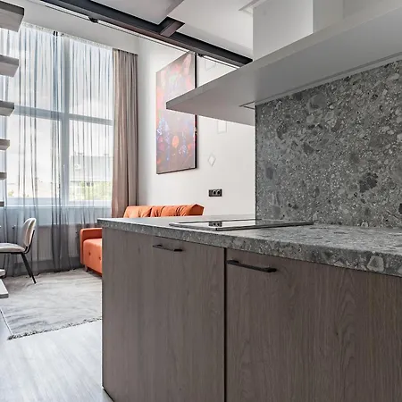 아파트 Vibe Loft 빌뉴스